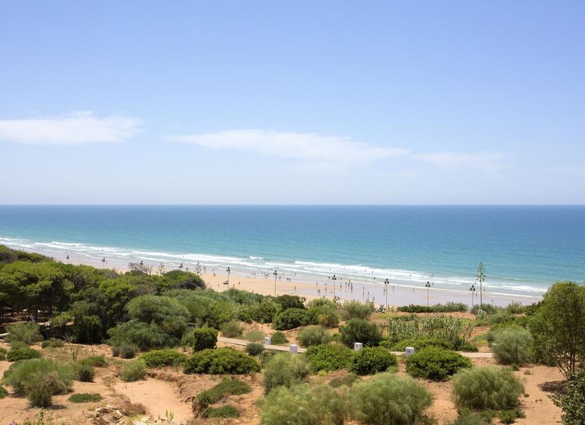 Strand Foto