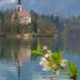 Sonstige