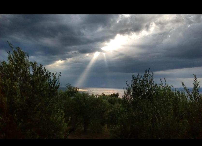 Außenansicht Foto