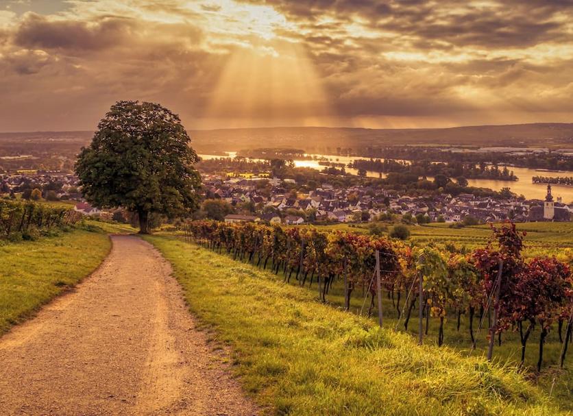 Außenansicht Foto