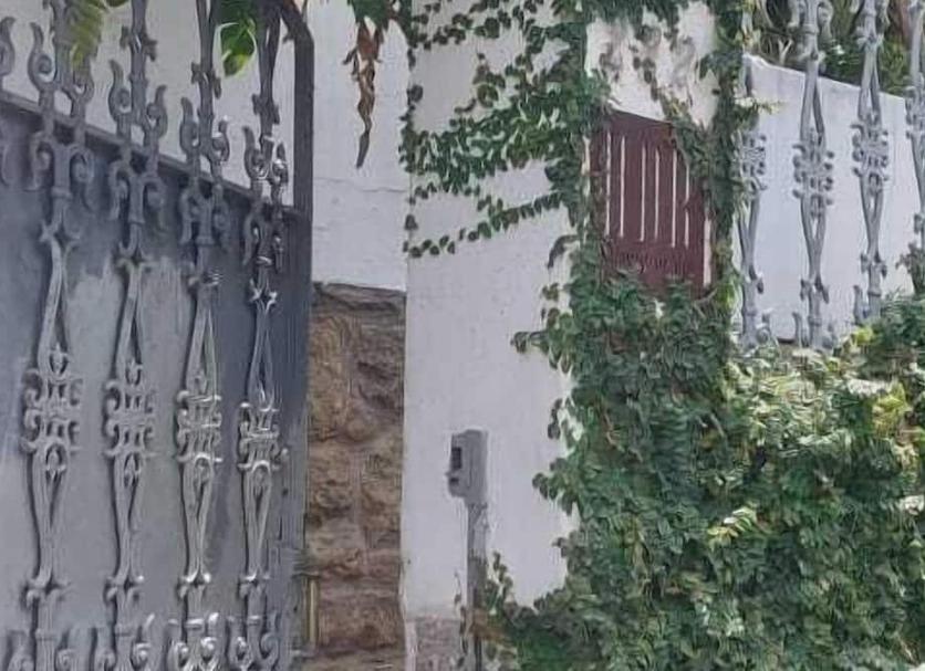 Außenansicht Foto