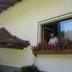 Sonstige