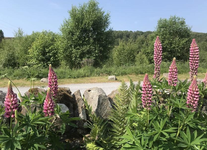 Außenansicht Foto