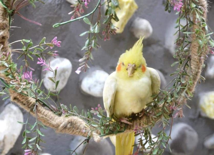 Sonstige Foto