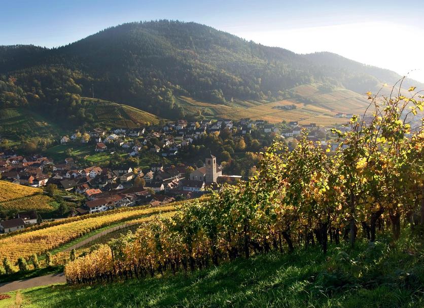 Außenansicht Foto