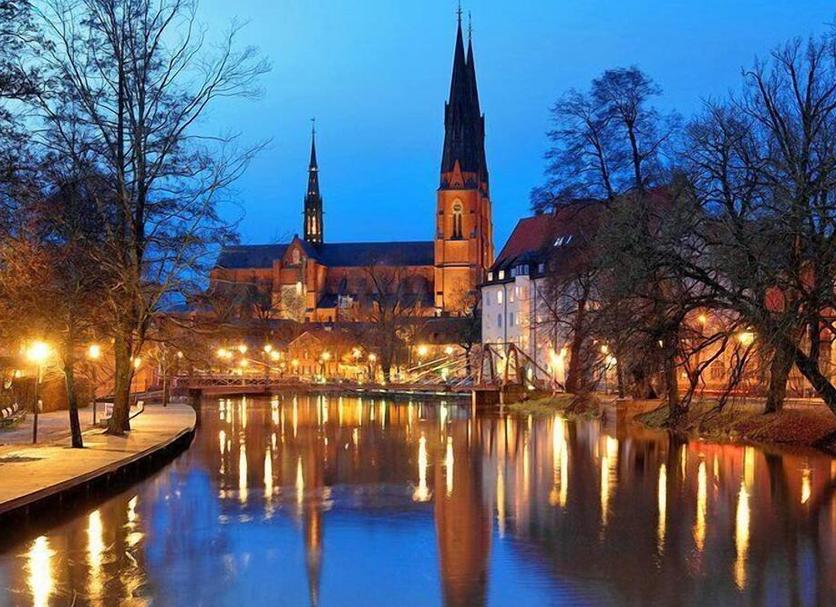 Sonstige Foto