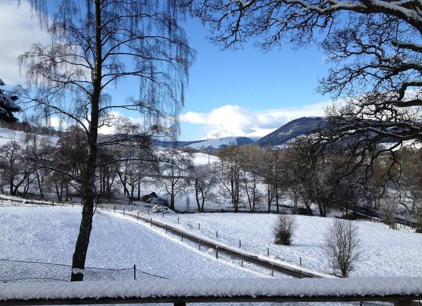 Außenansicht Foto