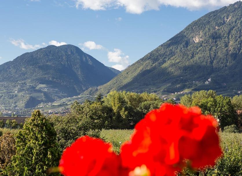 Außenansicht Foto