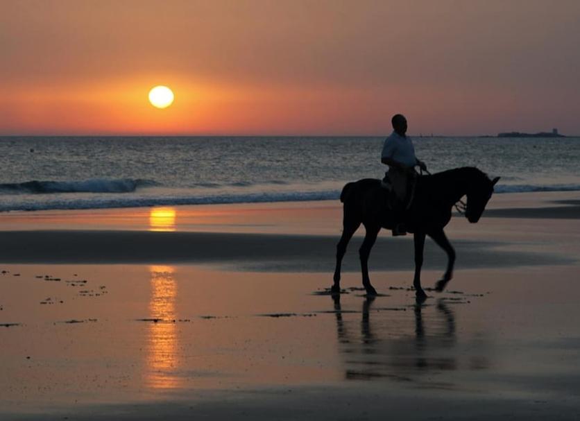 Strand Foto
