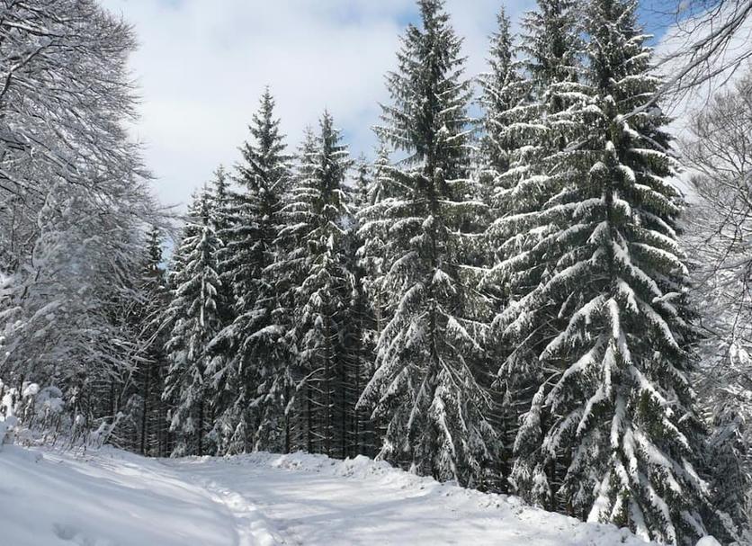 Außenansicht Foto