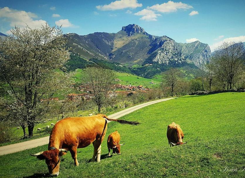 Sonstige Foto