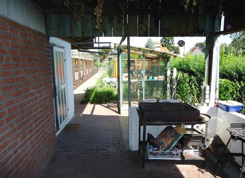 Sonstige Foto