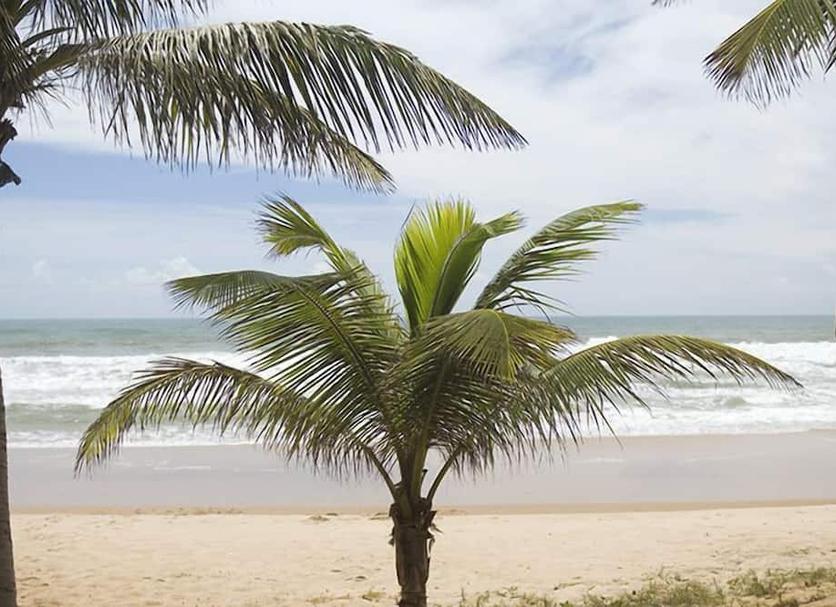 Strand Foto