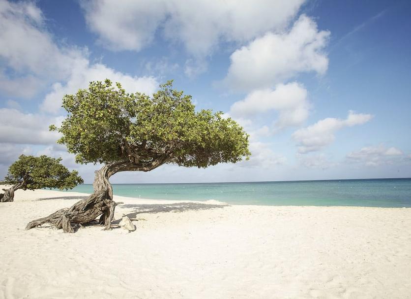 Strand Foto