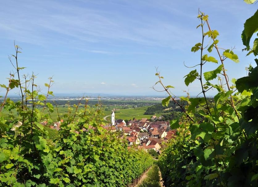 Außenansicht Foto