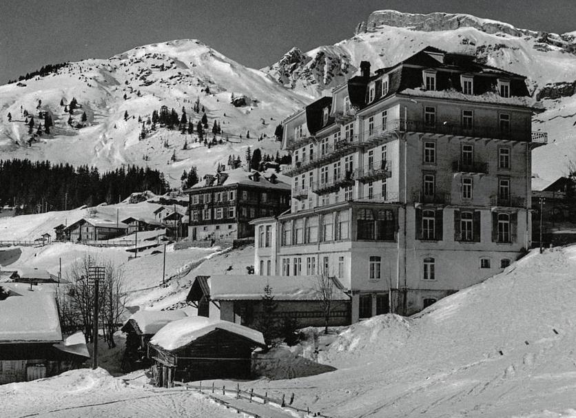 Sonstige Foto