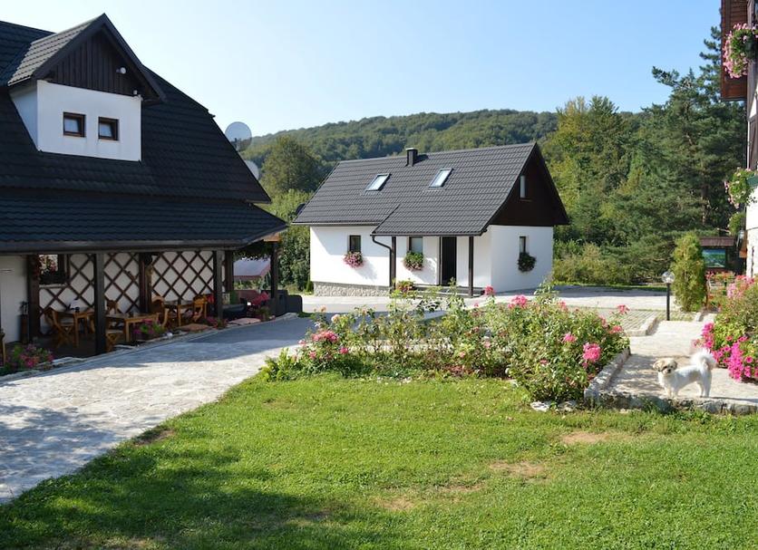 Sonstige Foto