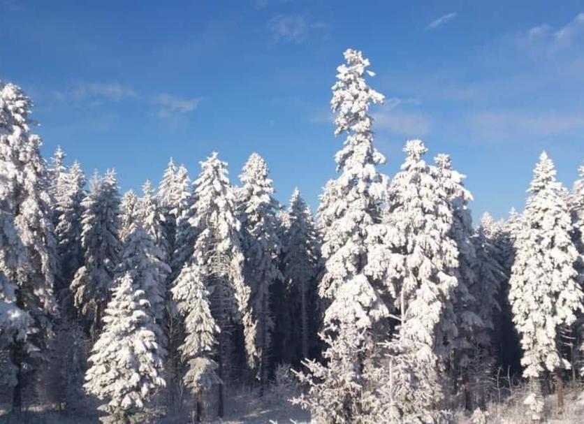 Außenansicht Foto