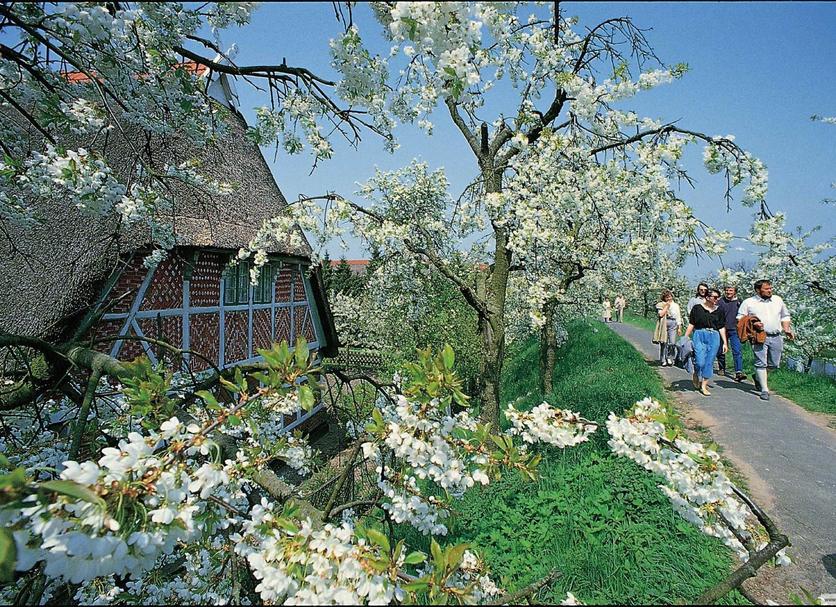 Sonstige Foto