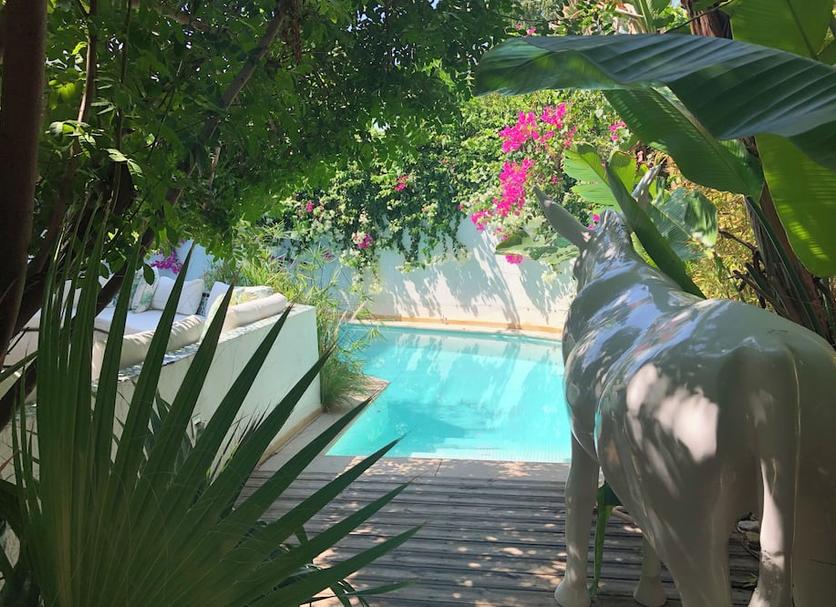 Pool Foto