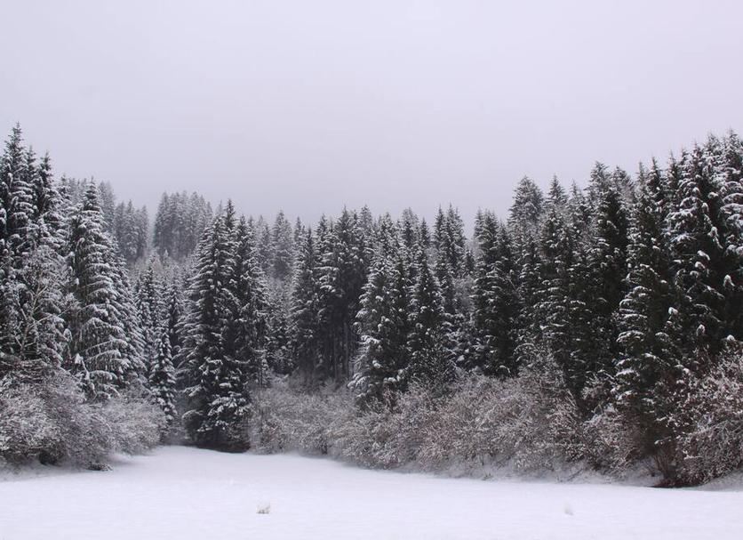 Außenansicht Foto