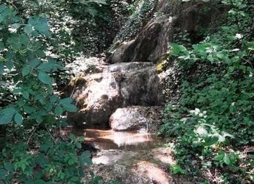 Sonstige Foto