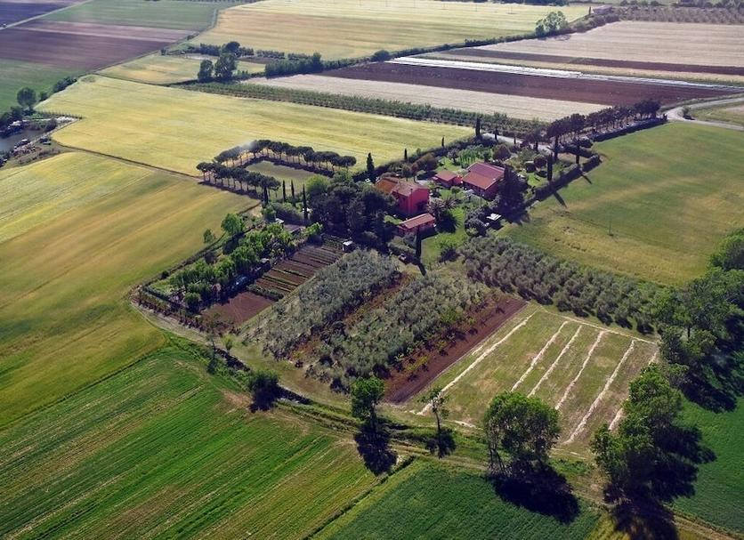 Außenansicht Foto