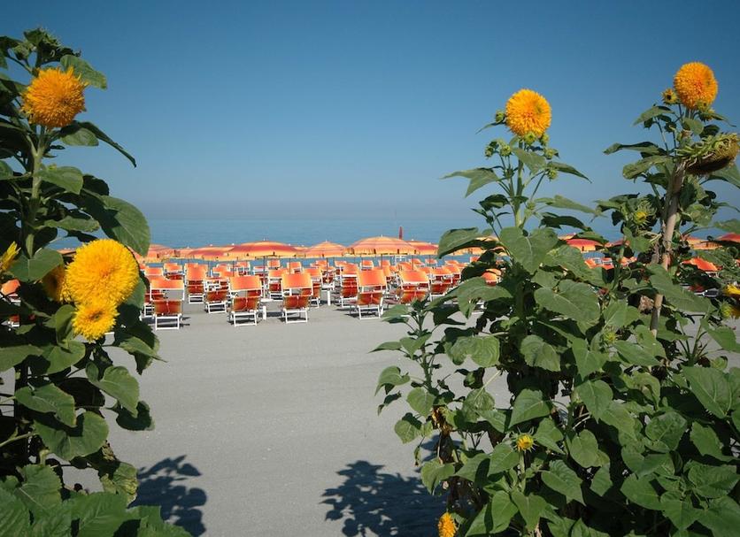 Strand Foto