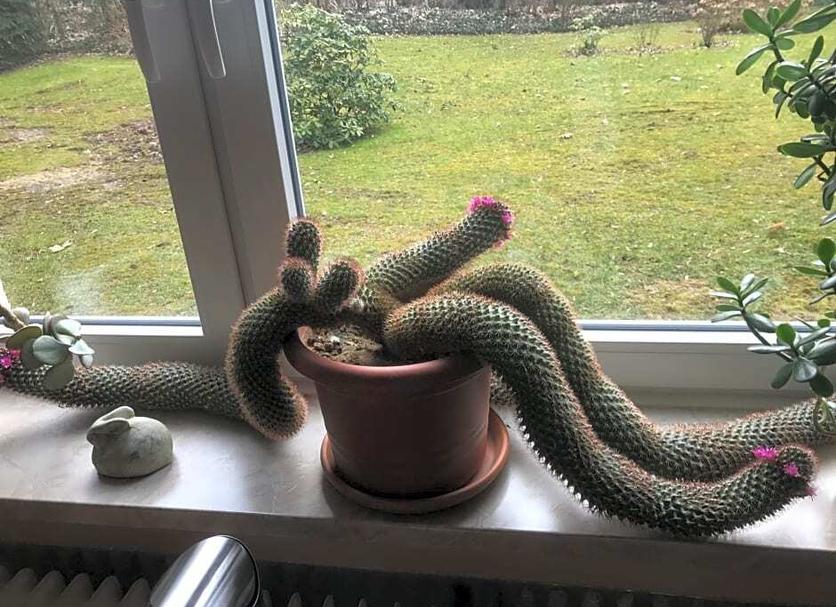Zimmerausstattung Foto