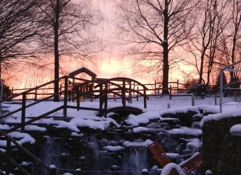 Sonstige Foto