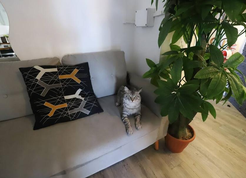 Zimmerausstattung Foto