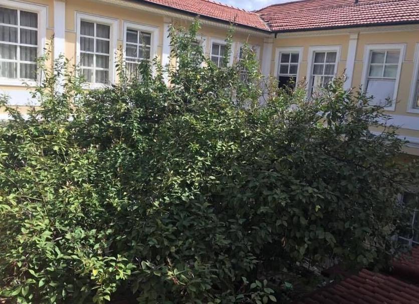 Außenansicht Foto