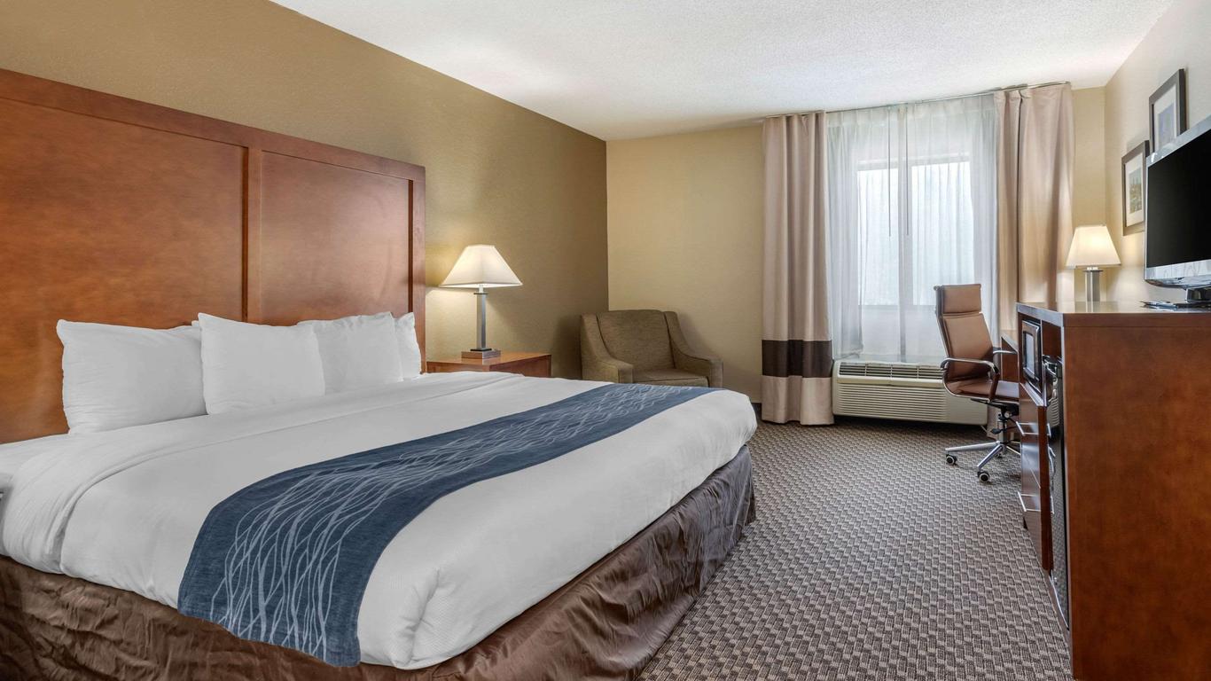 Comfort Inn South