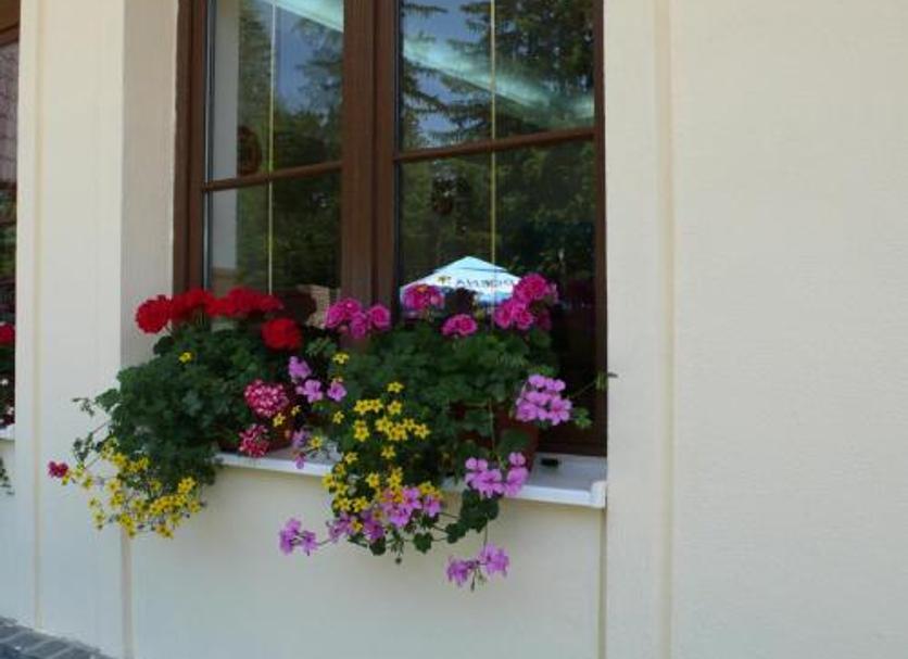 Sonstige Foto