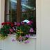 Sonstige