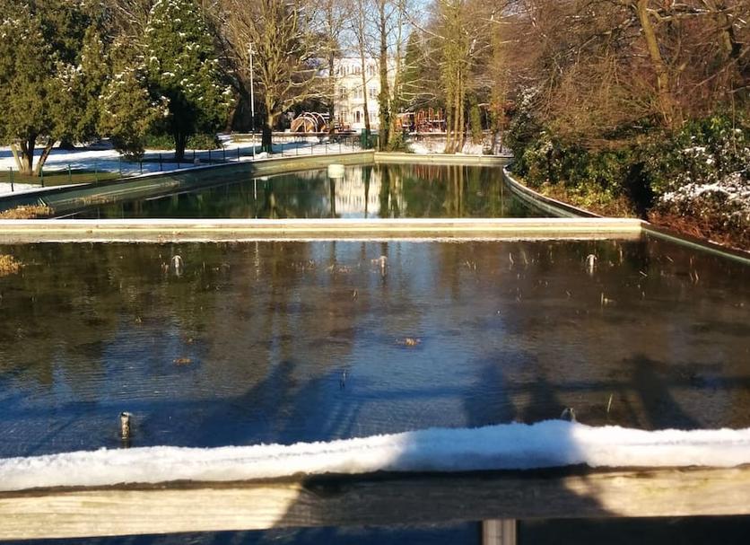 Sonstige Foto
