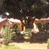 Innenhof