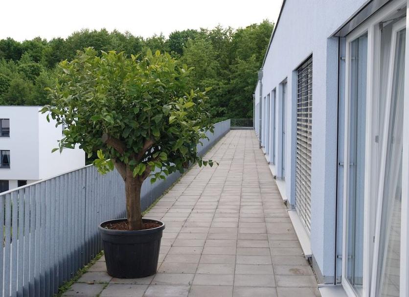 Außenansicht Foto