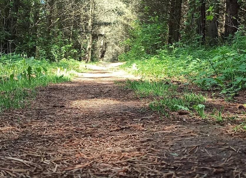 Außenansicht Foto