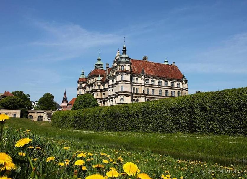 Sonstige Foto