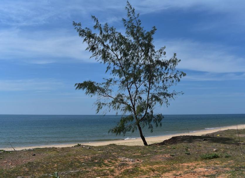 Strand Foto