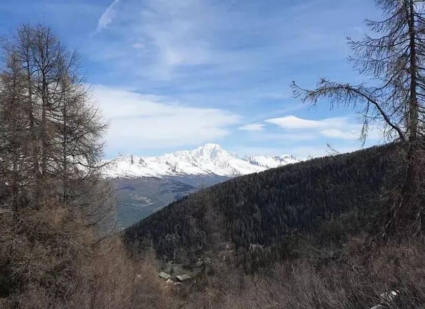 Außenansicht Foto