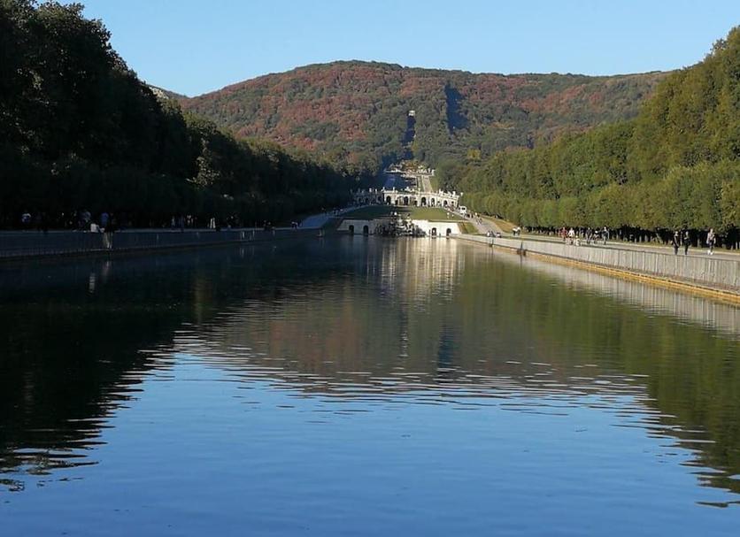 Sonstige Foto