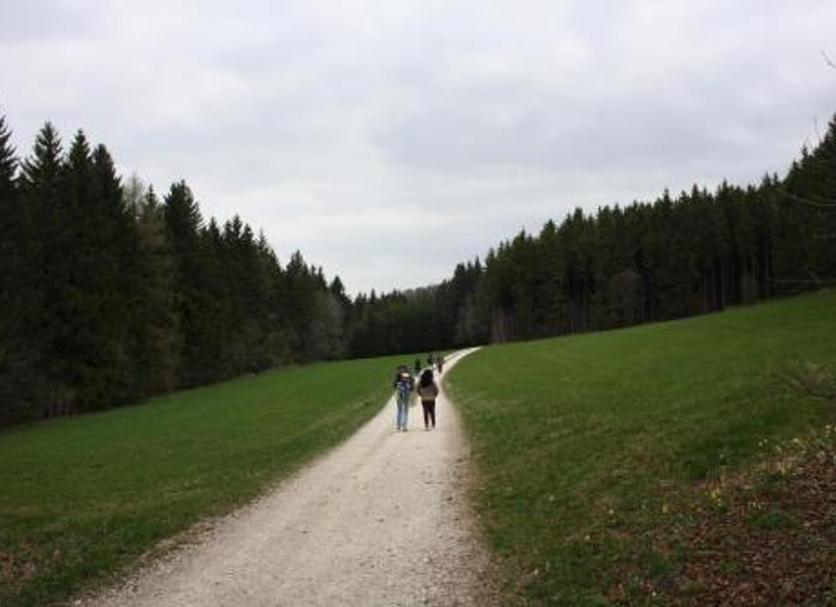 Sonstige Foto