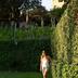 Sonstige