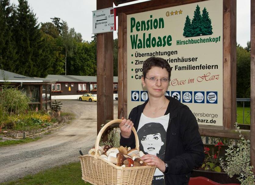 Sonstige Foto