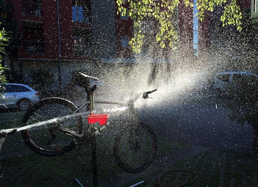 Sonstige Foto
