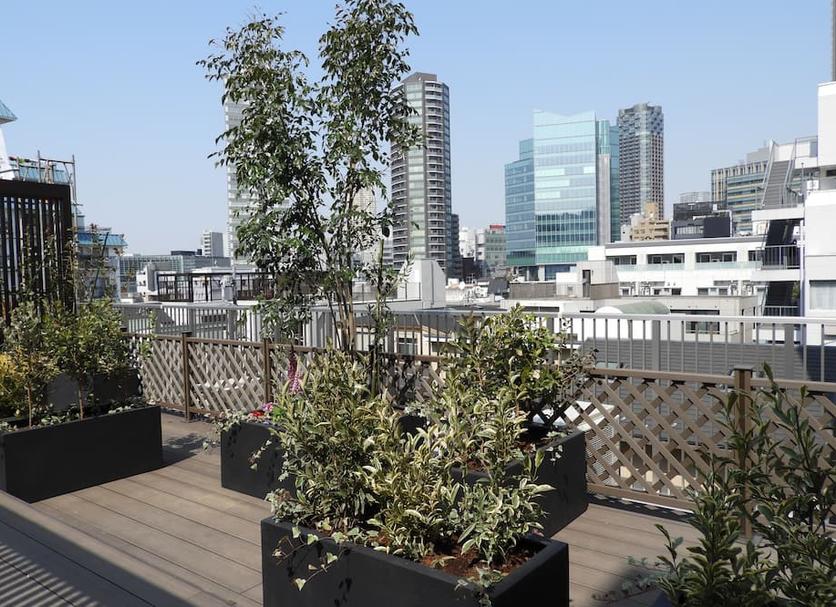 Balkon Foto