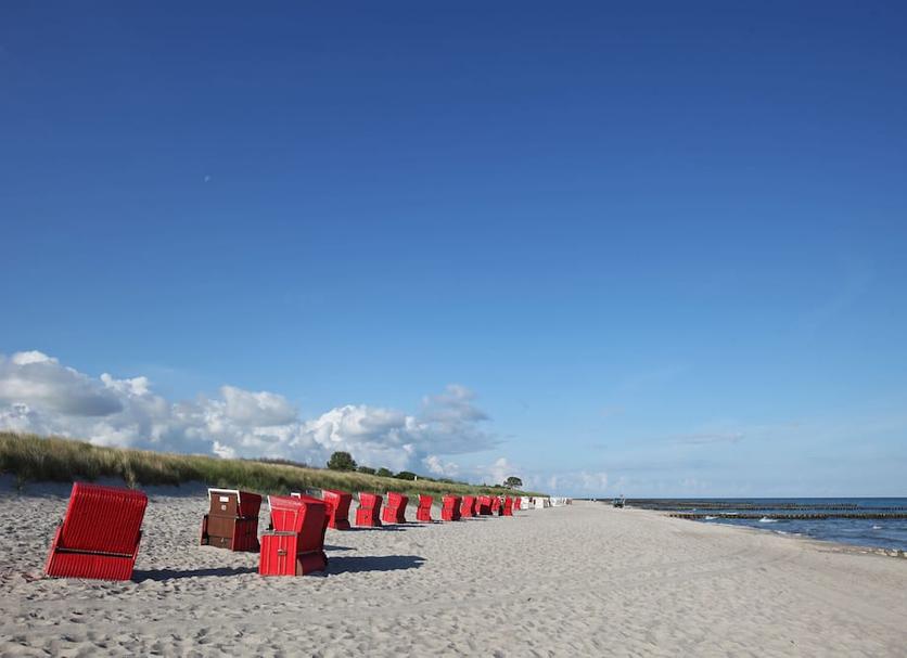 Sonstige Foto