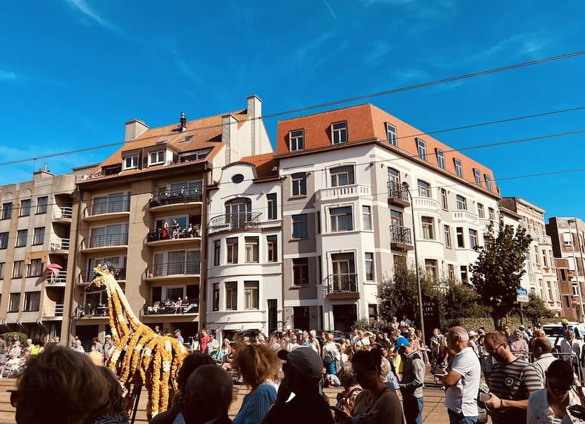 Sonstige Foto